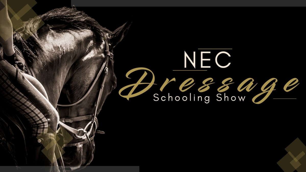 NEC Dressage Schooling Show