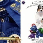 US Australian Shepherd Association National Specialty Dog Show