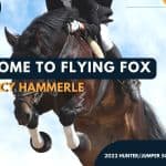 Flying Fox Hunter Jumper Schooling Show