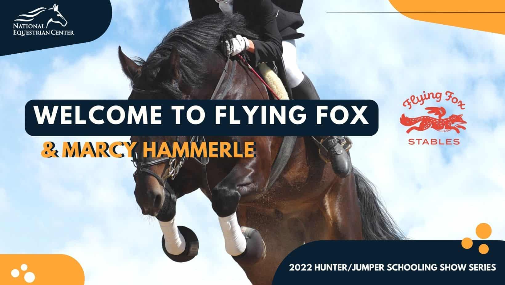Flying Fox Thanksgiving HJ Show