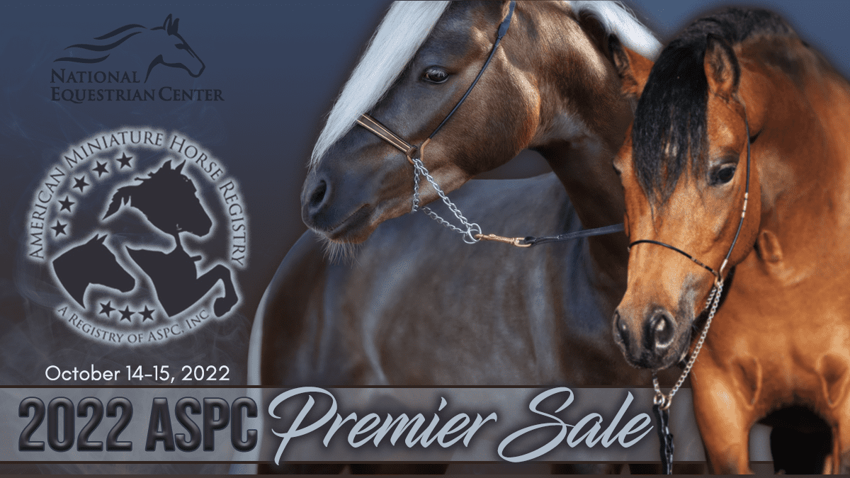 ASPC Mini/Shetland Premier Sale