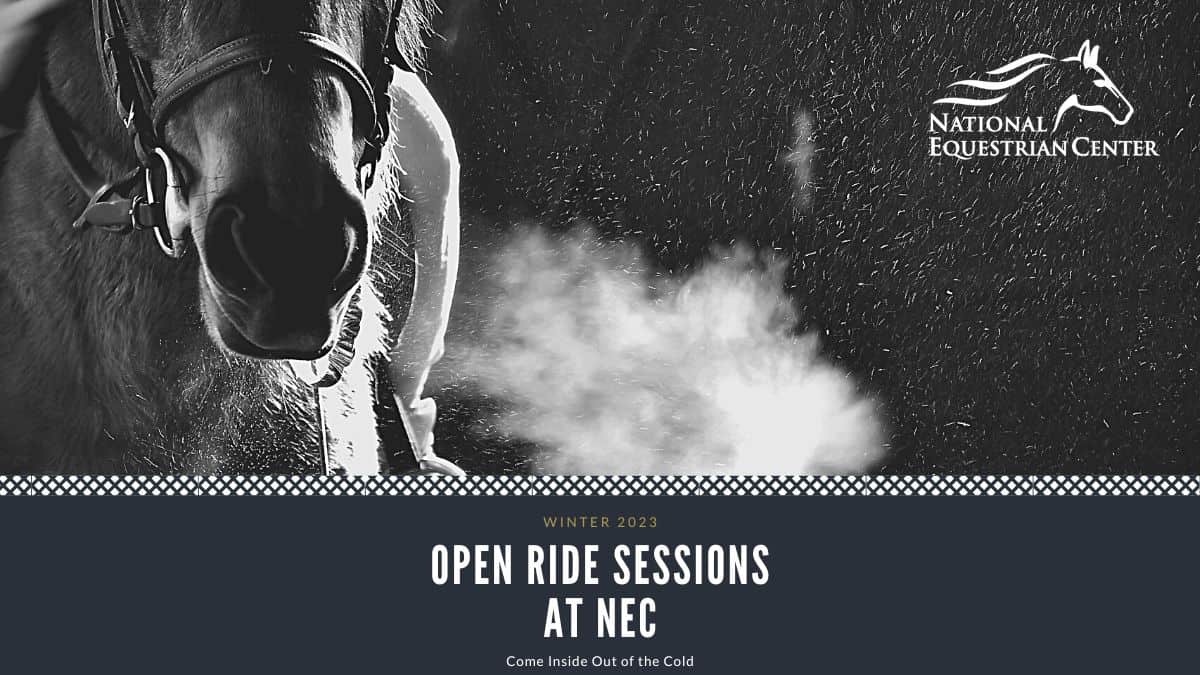 Open Ride - Winter Sessions